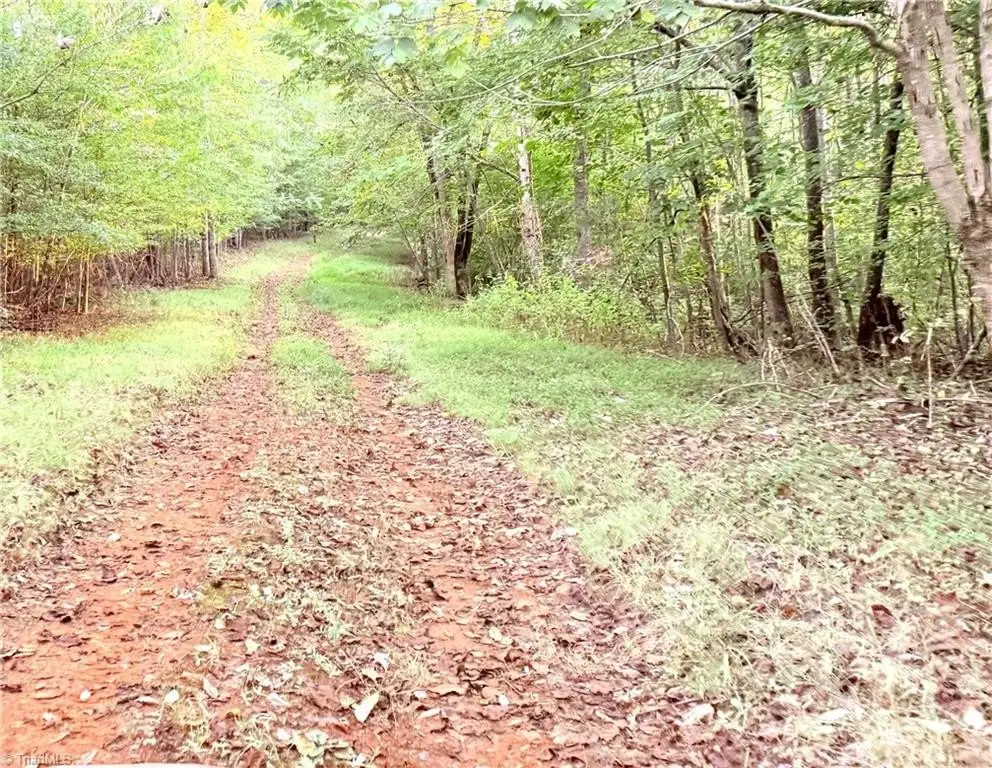 Picture 24