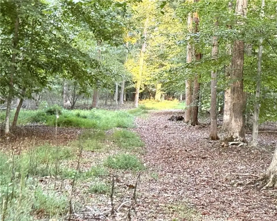 Picture 23