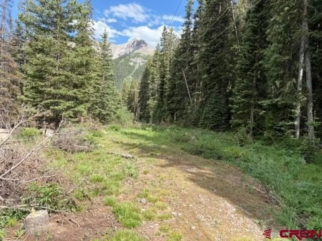 Picture 7