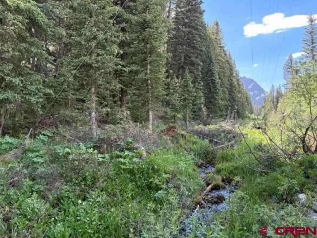 Picture 13
