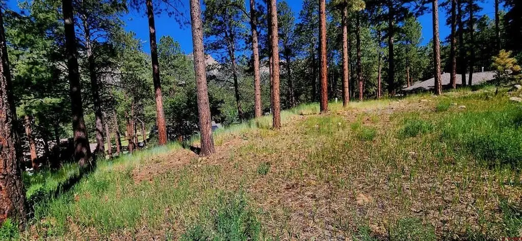 Picture 8