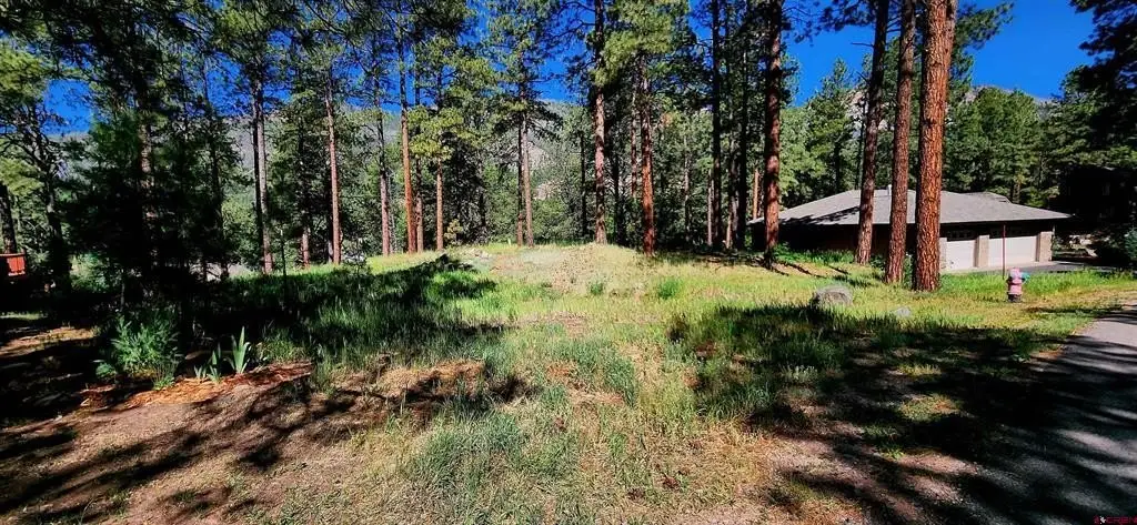Picture 7