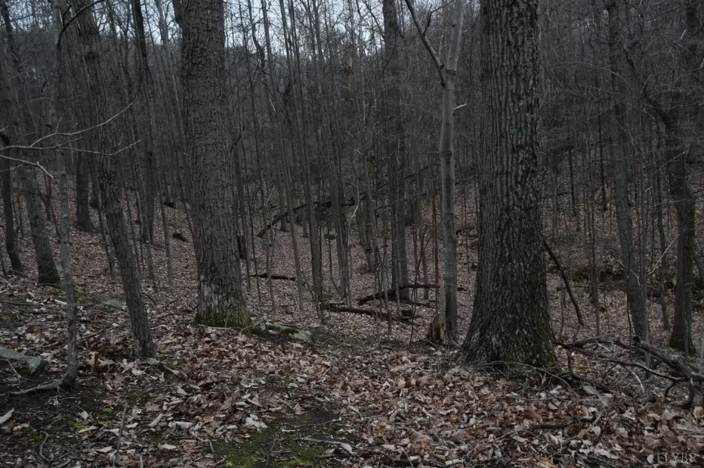 Picture 15
