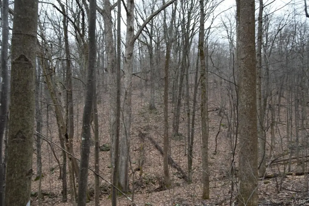 Picture 17