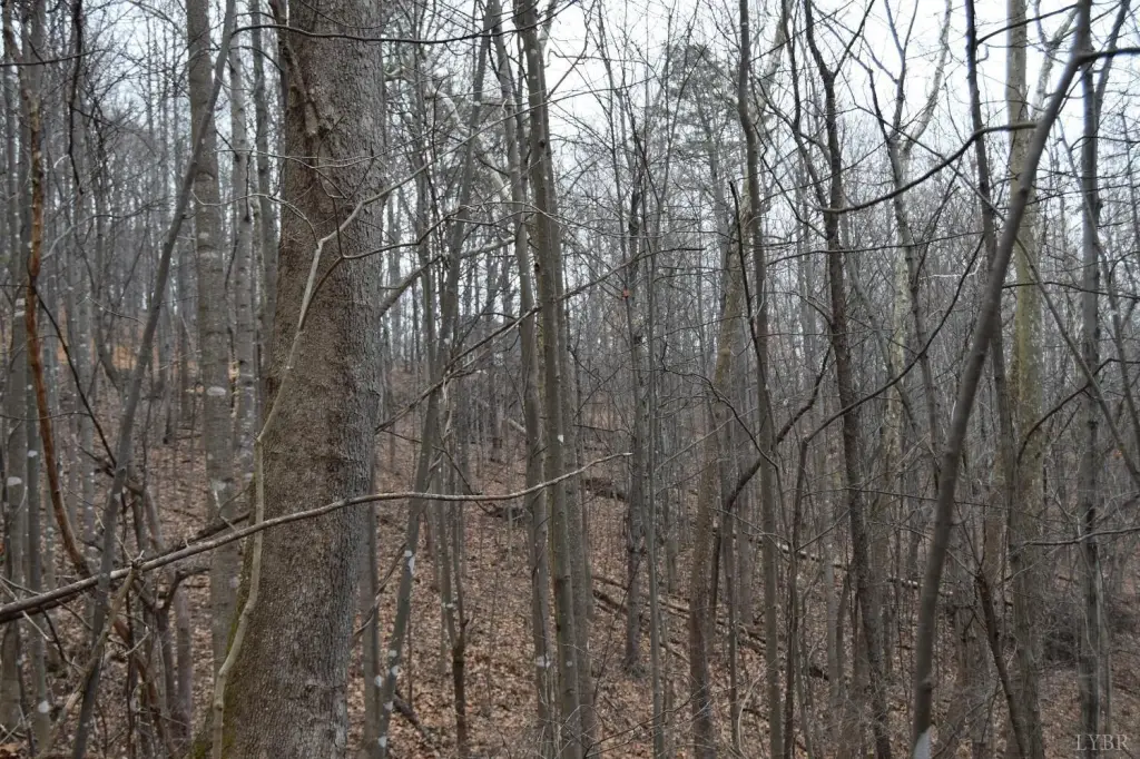 Picture 31