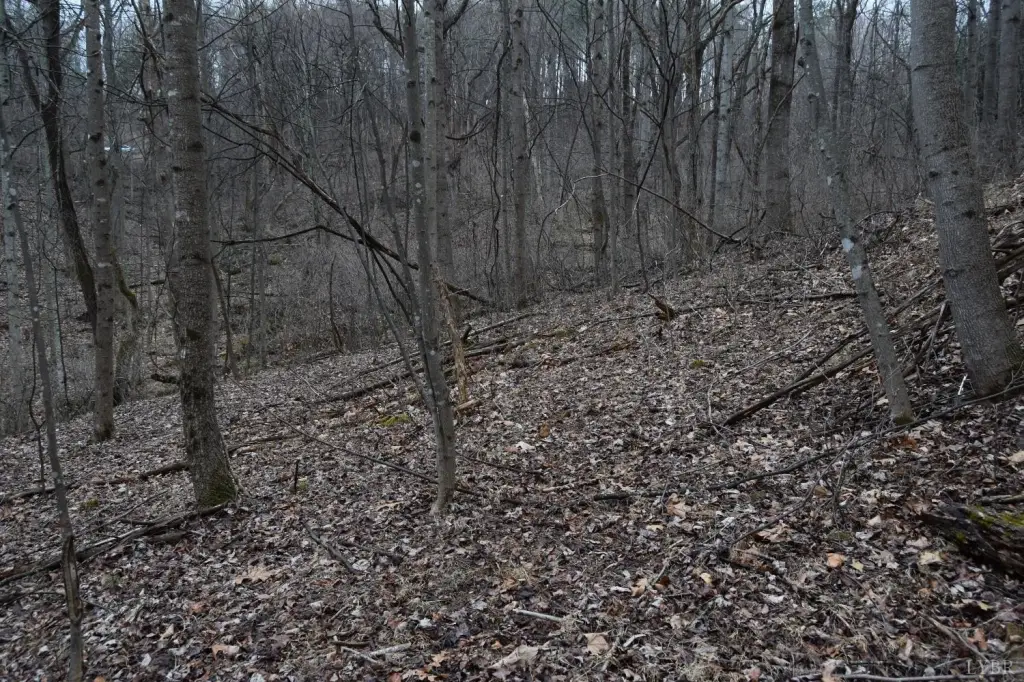 Picture 10
