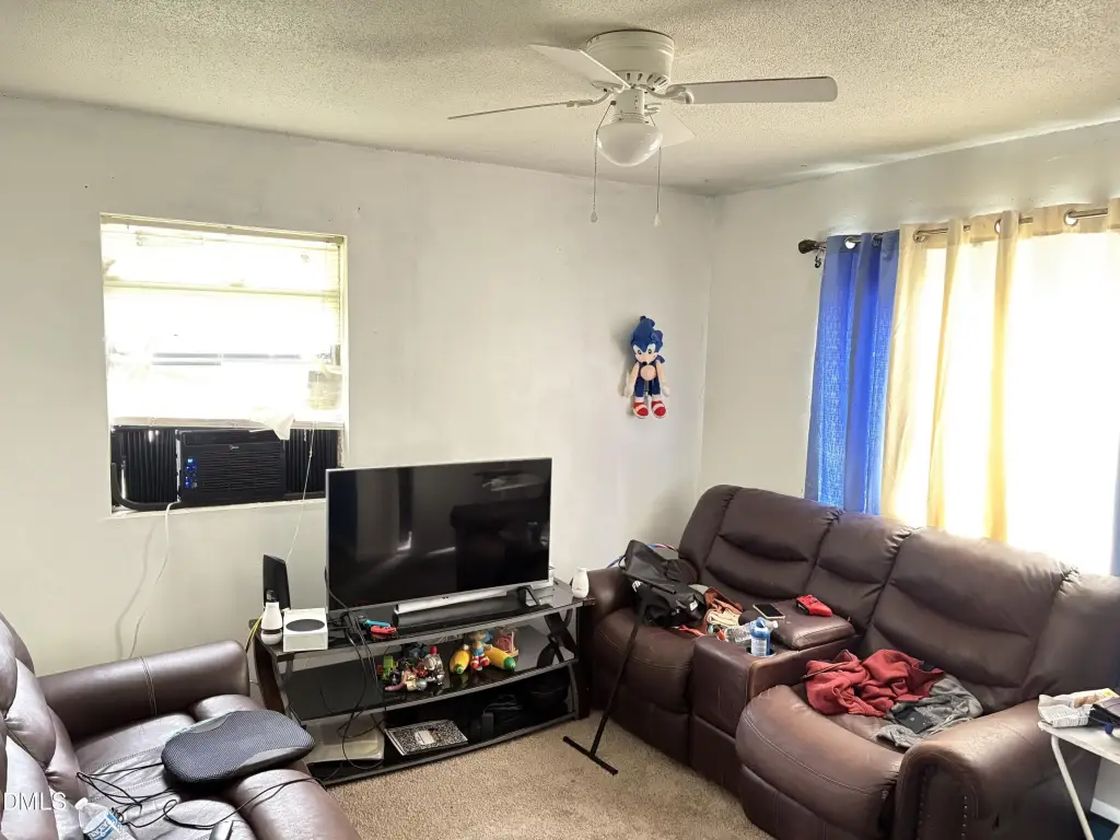 Picture 12