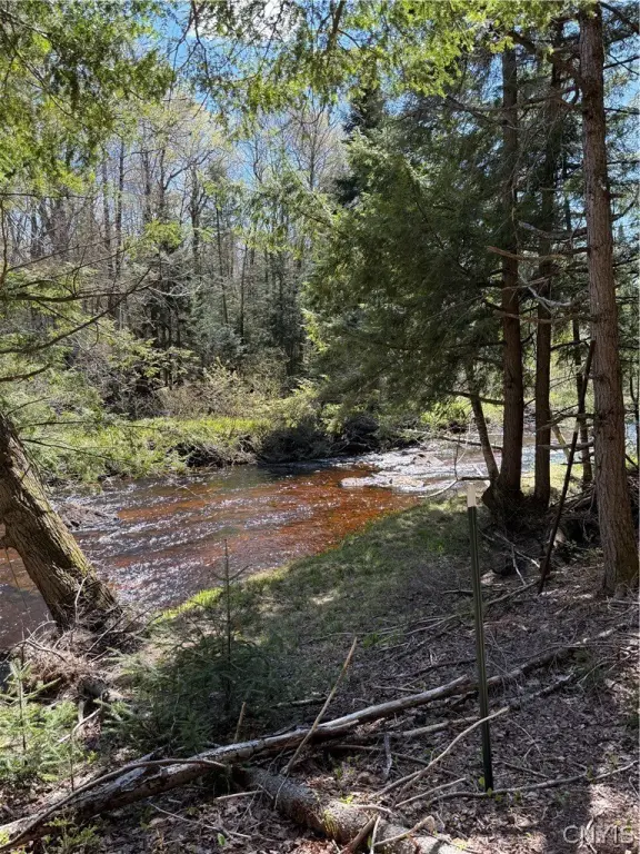 Picture 25