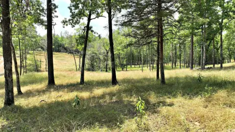 Mena, AR 10-Acre Lot