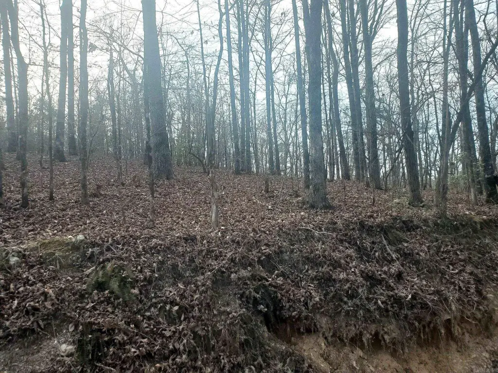 Picture 4
