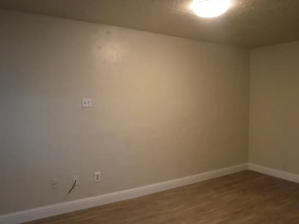 Picture 23