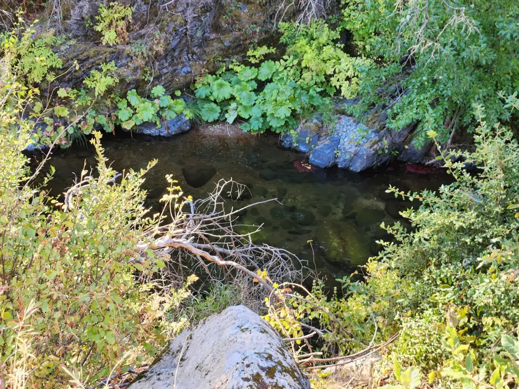 Picture 2