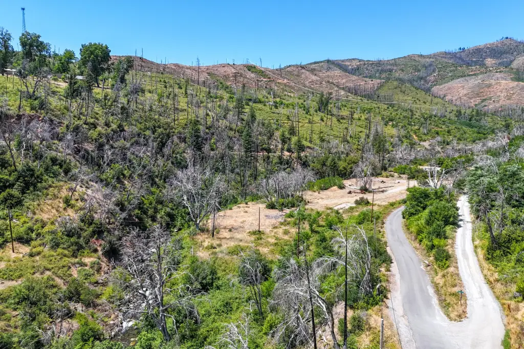 Picture 32