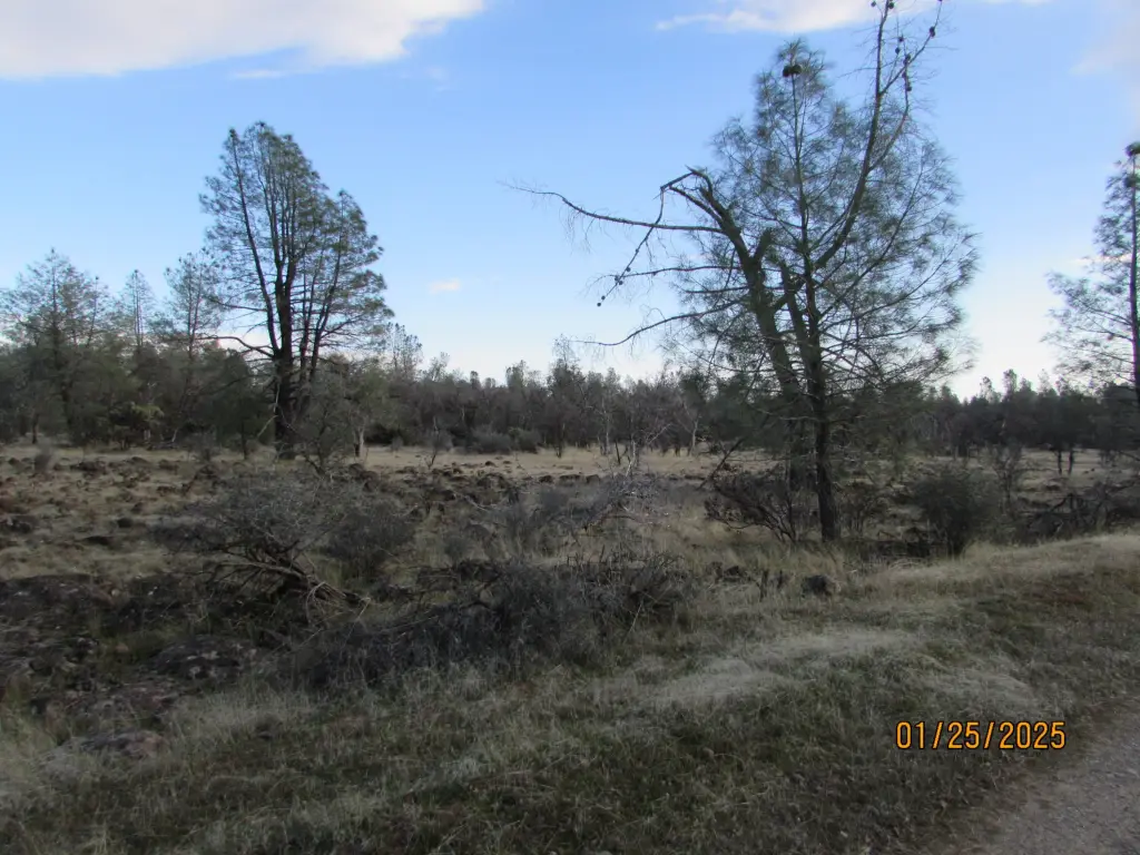 Picture 3