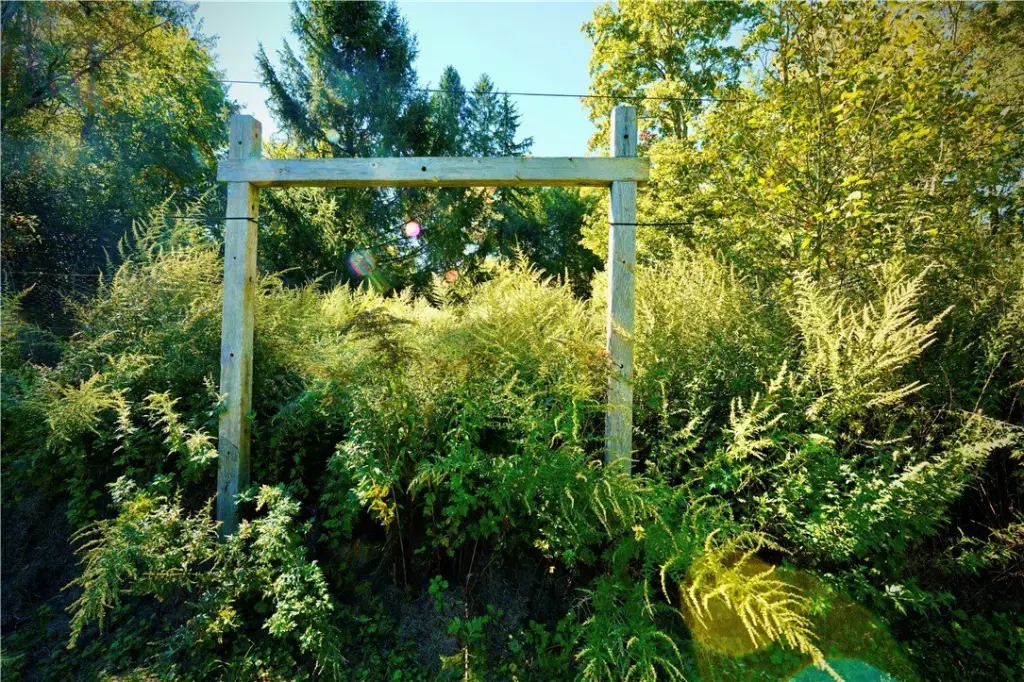 Picture 29
