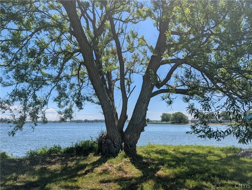 Picture 26