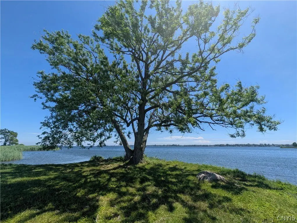 Picture 21