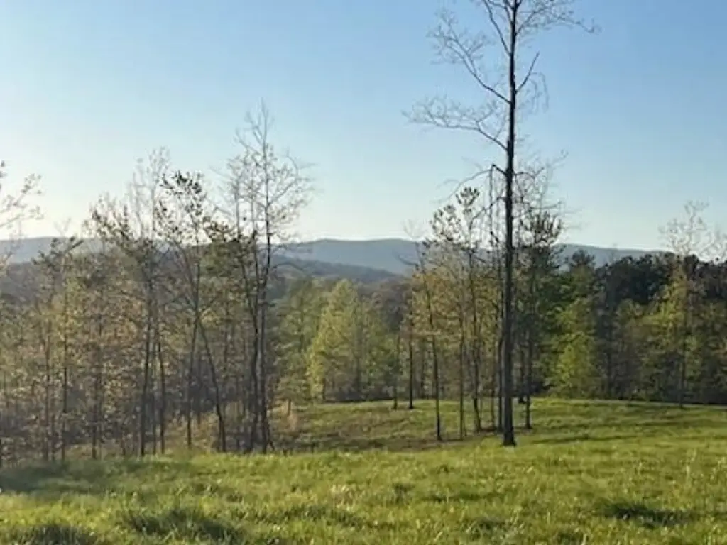 Picture 7