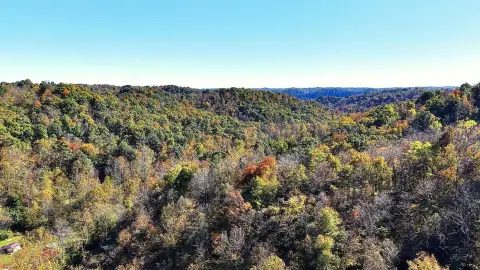 Wooded Hunting Land with Creek
