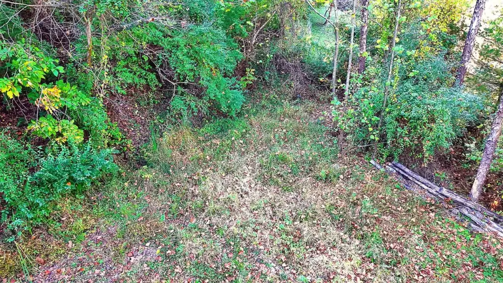 Picture 10