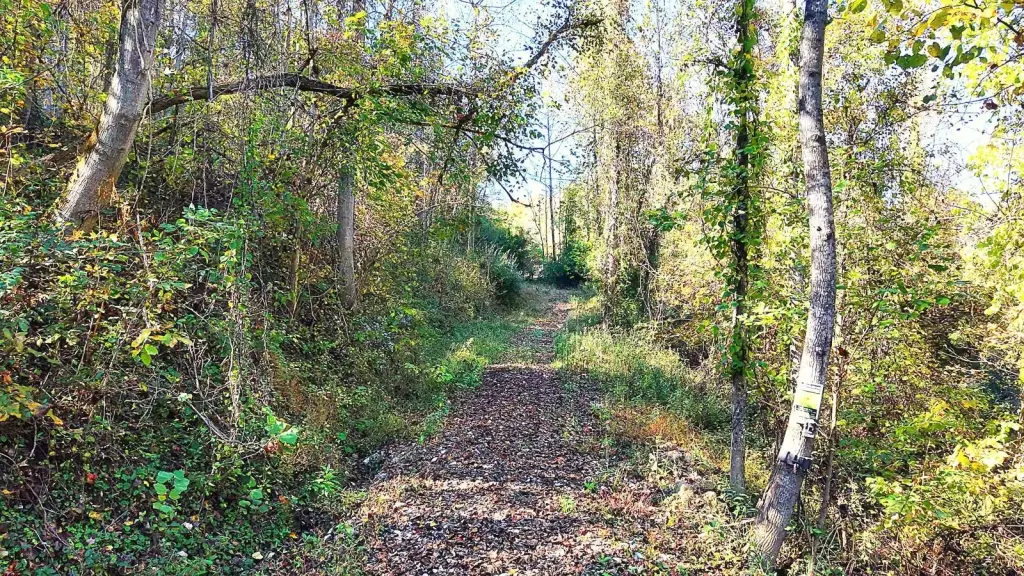 Picture 9