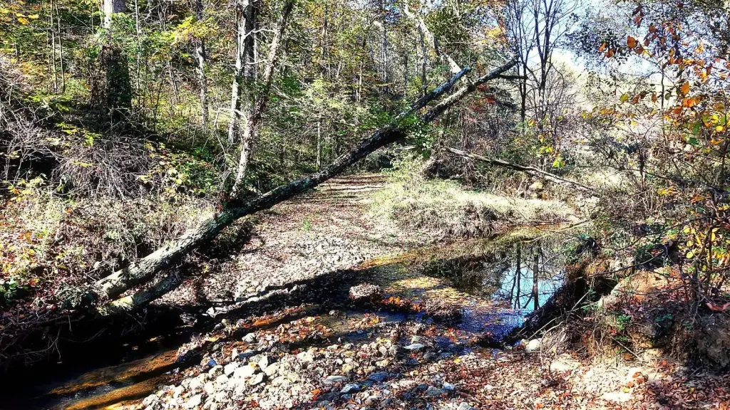 Picture 8