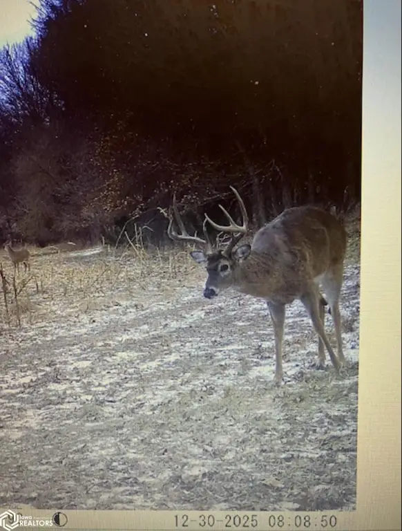 Picture 10
