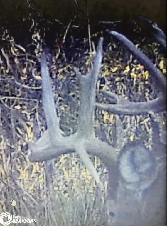 Picture 7