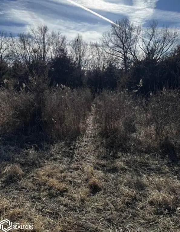 Picture 22