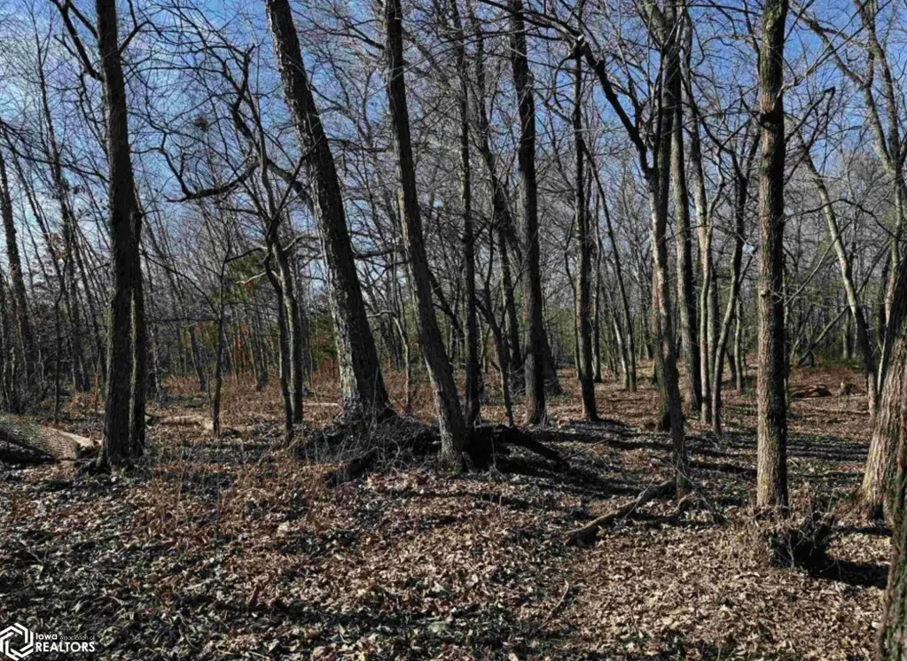 Picture 14