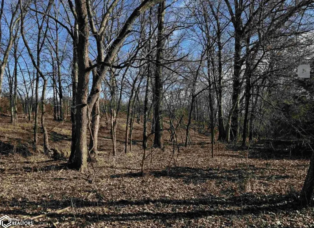 Picture 19