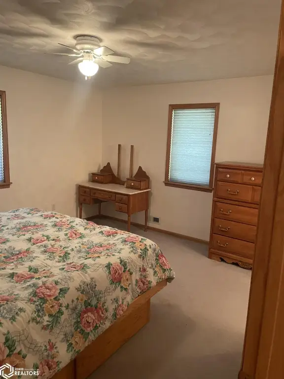 Picture 20