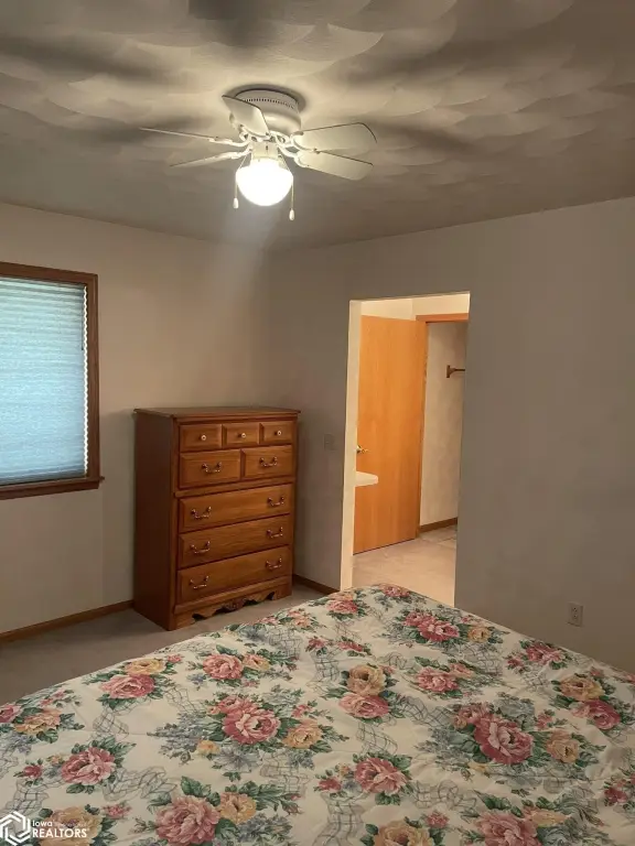 Picture 23