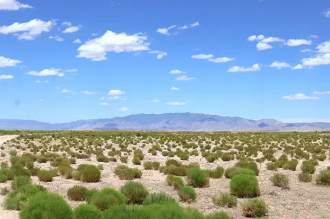 Land in Rio Grande Estates