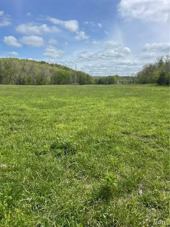Picture 8
