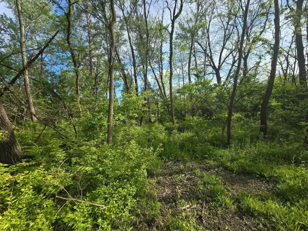 Picture 8