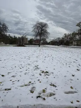 Englewood Build-Ready Land Opportunity