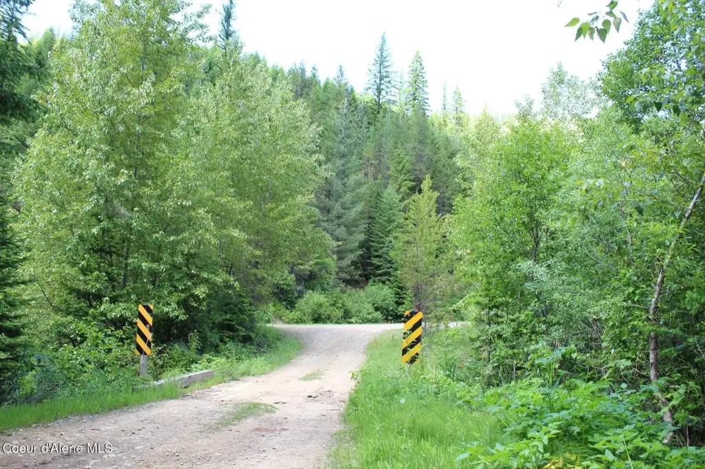 Picture 13
