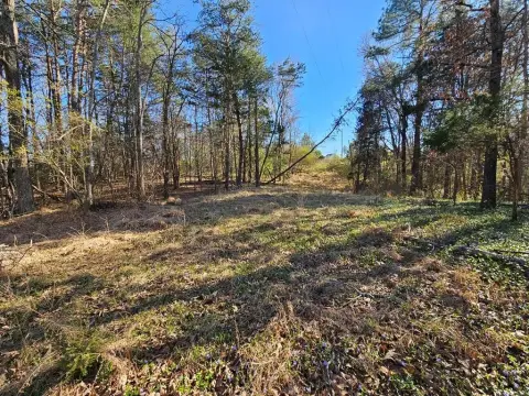 Land Near Downtown Farmville