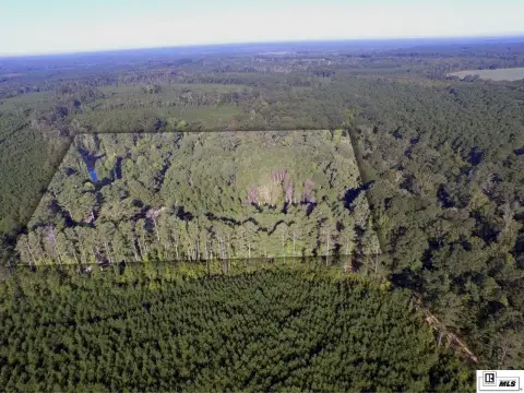 Recreational Hunting Land