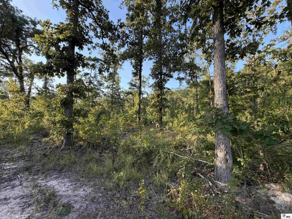 Picture 23