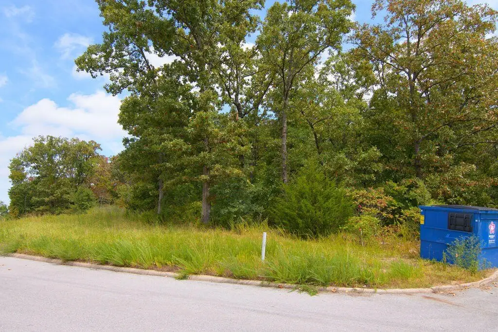 Picture 8