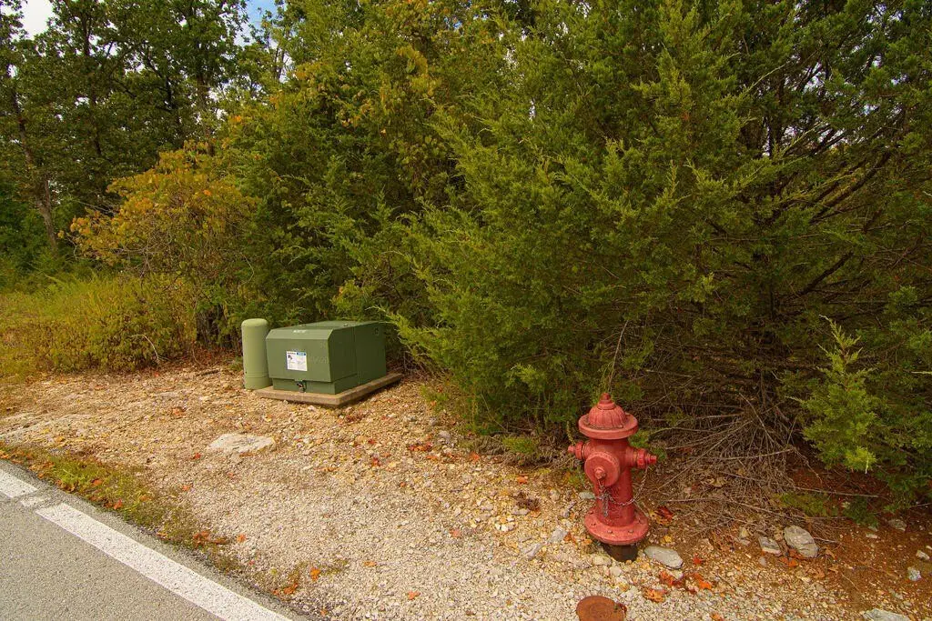 Picture 8
