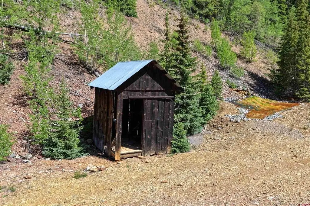 Picture 5