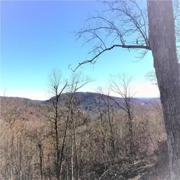 Big Canoe Estate Homesite