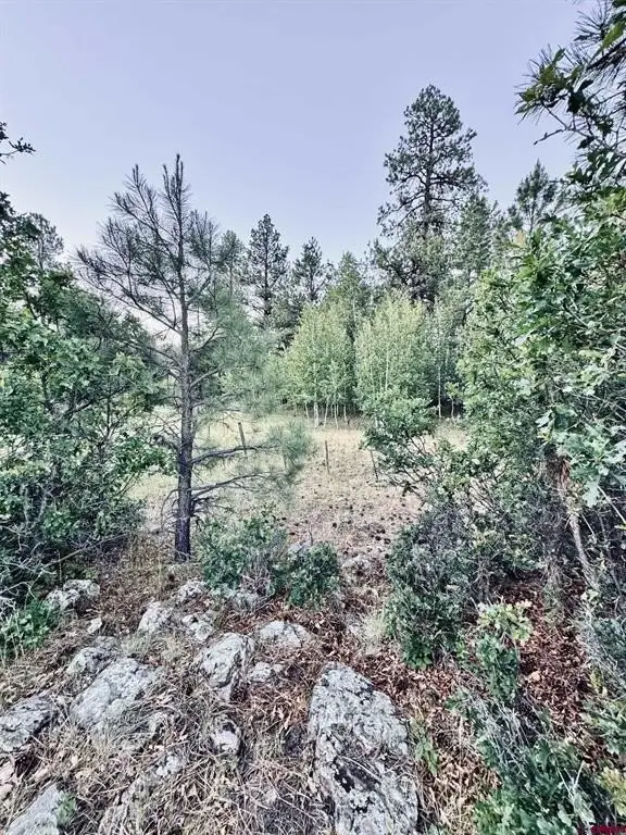 Picture 19