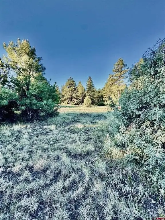 Picture 13