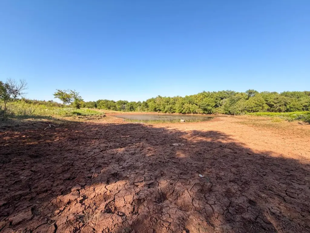 Picture 39