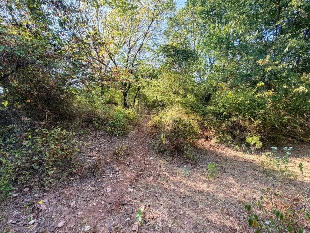 Picture 37