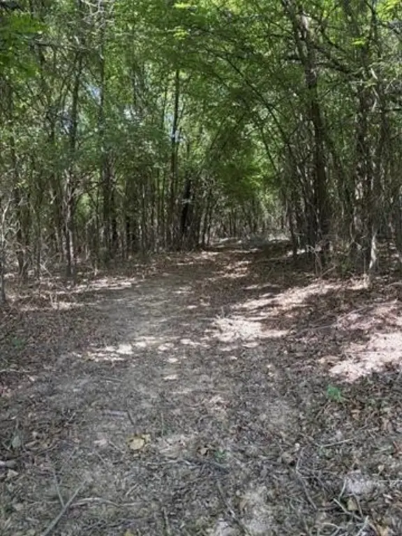 Picture 11